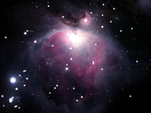 orion nebular